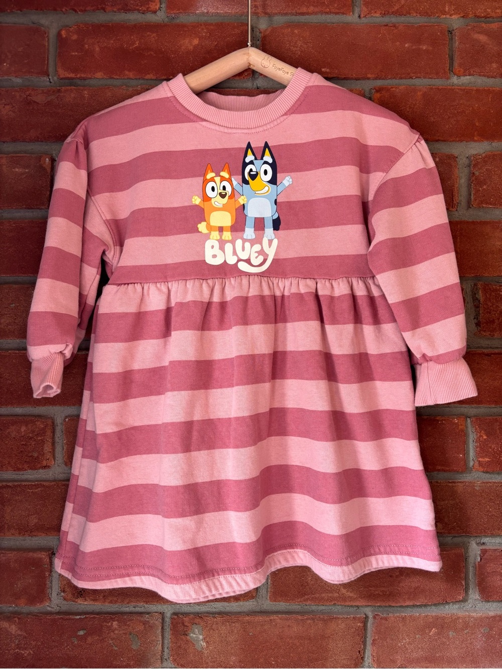 H&M Pink Striped Kids Bluey Dress